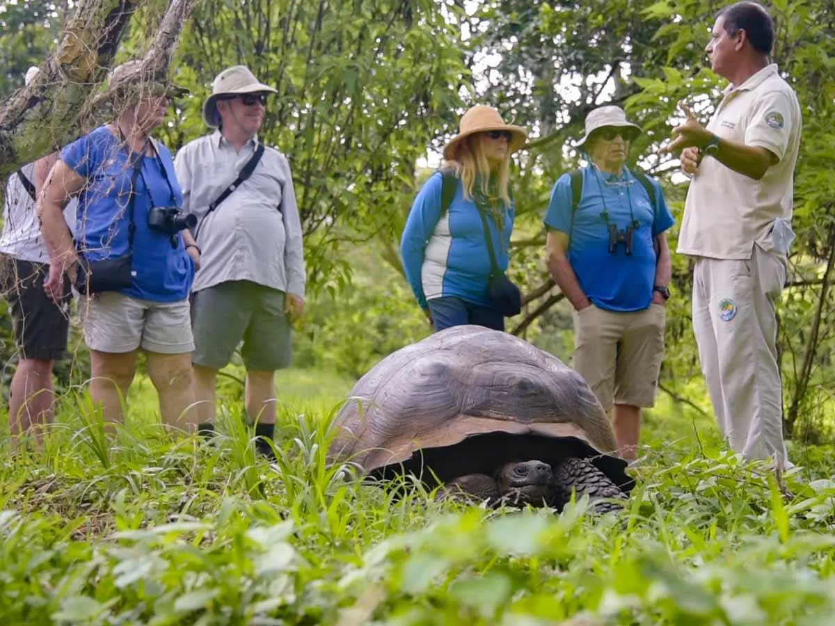 Galapagos Northern Route Six Days Aboard MC EcoGalaxy 