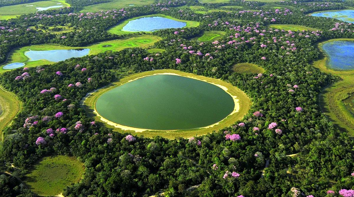 Adventure Search of the Jaguar in Pantanal