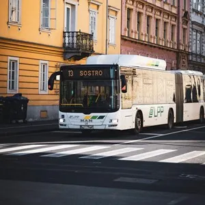Public Transport