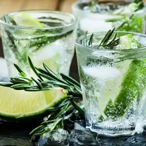 Gin and Tonic