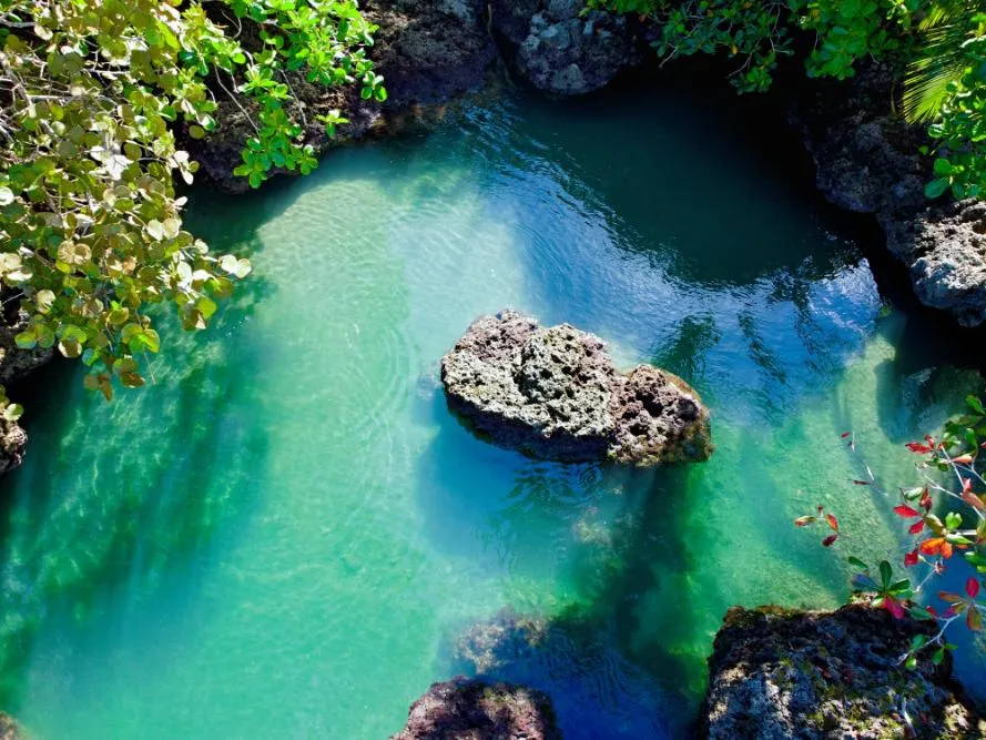 Costa Rica Self-Drive: From the Caribbean to the Pacific 