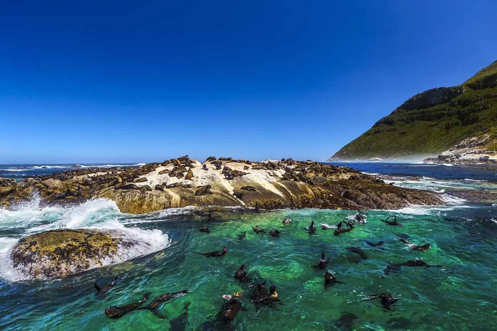 Luxury Cape Town and Winelands