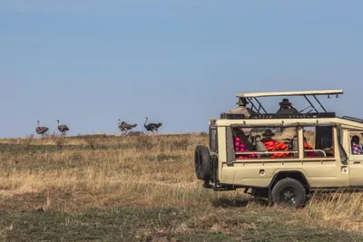 Photo 5 of Sentrim Mara Game Lodge hotel