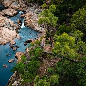 Alligator Creek