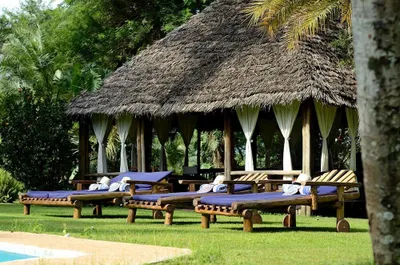 Photo 3 of Arusha Safari Lodge hotel