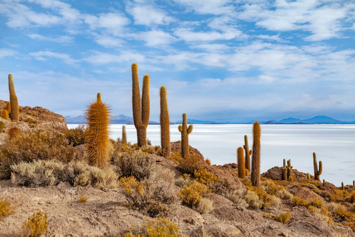 Salar de Uyuni