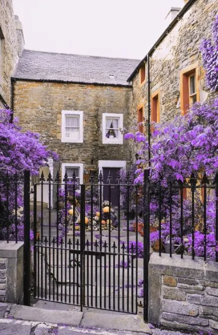 Orkney