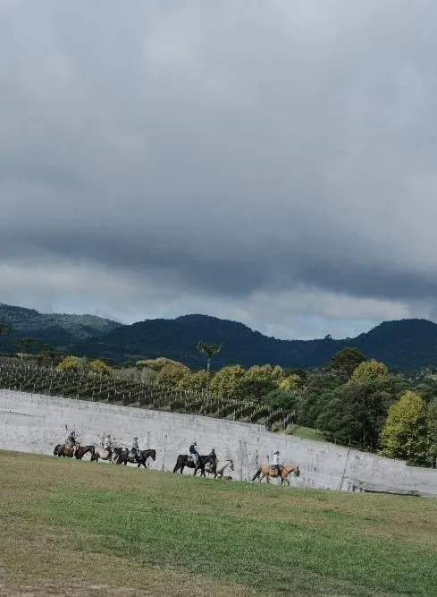 Argentina Horseback Explorer
