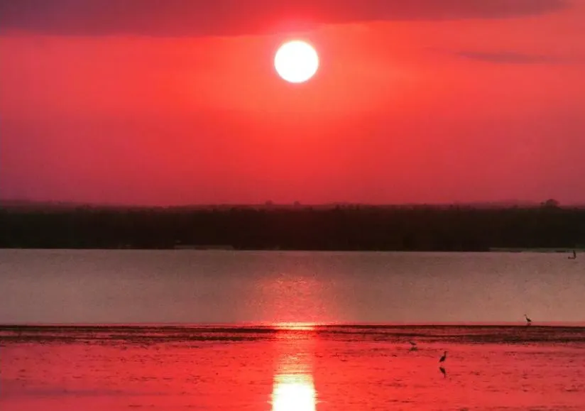 Diani Beach Escapade