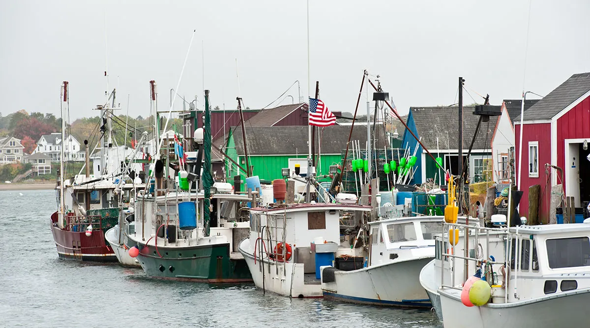 New England Fall Foliage and Coastal Getaway Self Drive Explorer