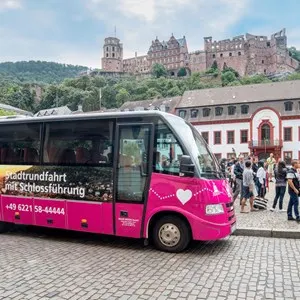 City and Castle Sightseeing Tour