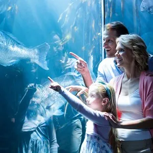 Audubon Aquarium