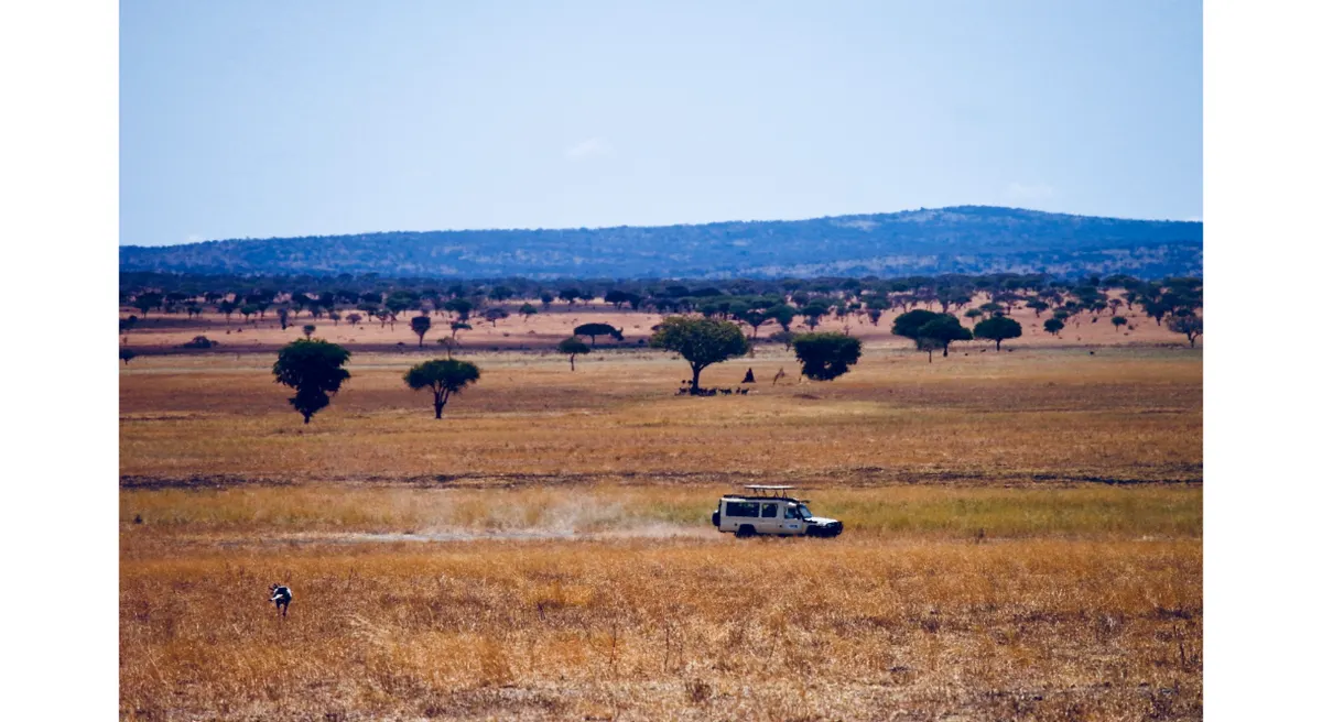 Tanzania Classic Safari