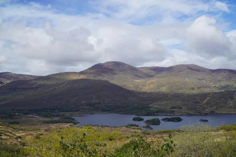 Private Journey to the Gardens of Ireland in Autumn