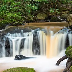 Karura Forest