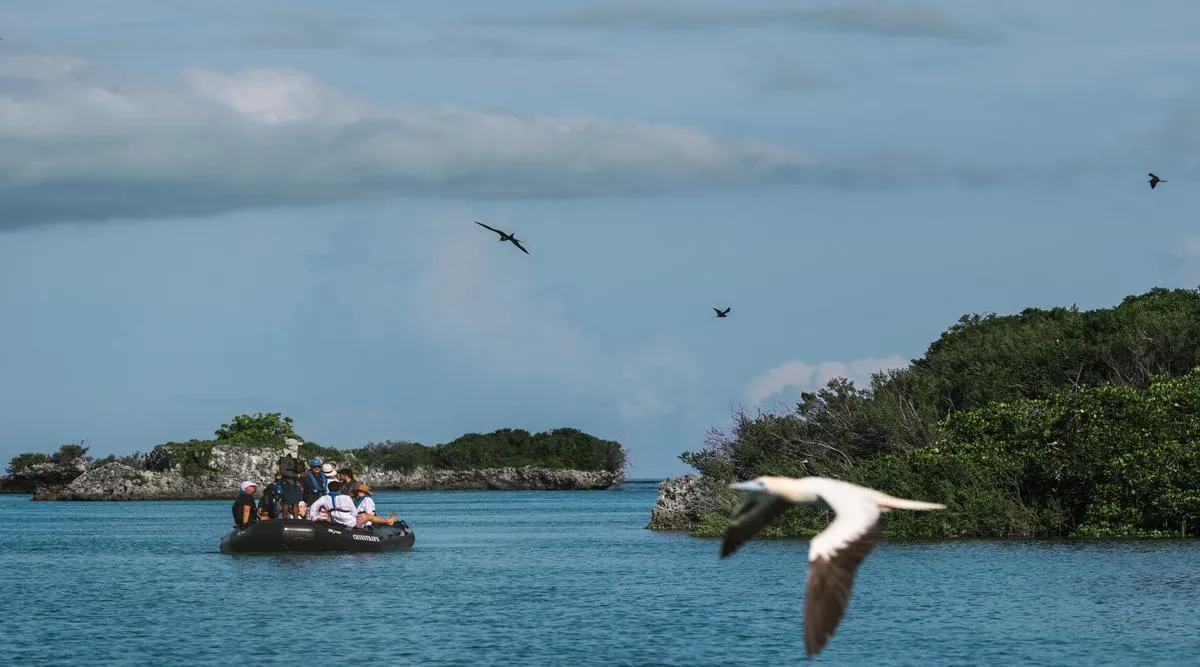 Tanzania Classic Meets a Grand Ocean Crossing