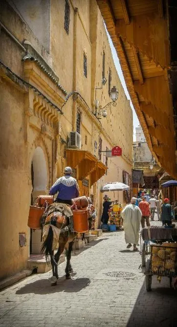 Casablanca and Rabat Explorer