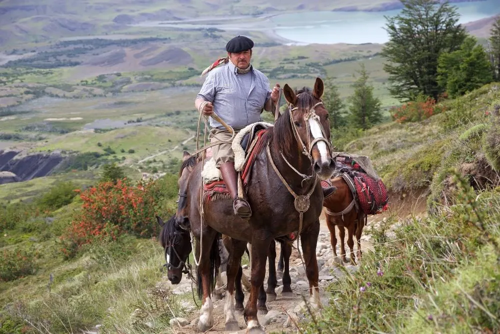 Patagonia Buenos Aires and Santiago Explorer