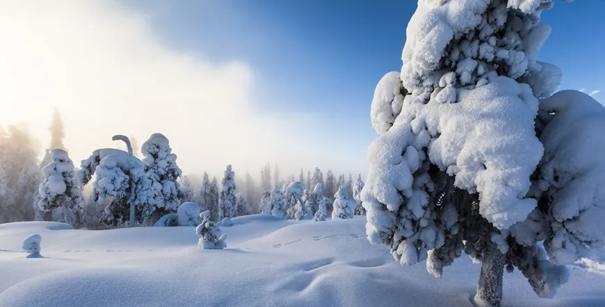 Rovaniemi Home of Santa Claus City Escape