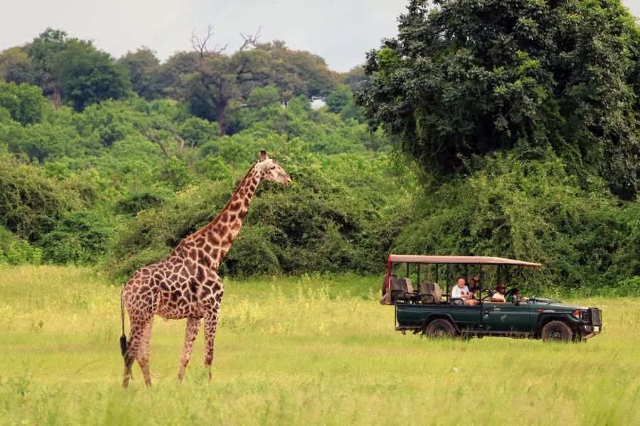 Chobe National Park