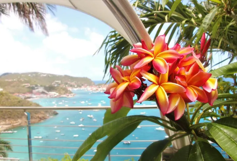 St. Barts