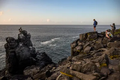 Galapagos Islands Southern Route Cruise Aboard MC Alya