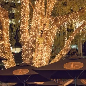 Fairy Light Trees