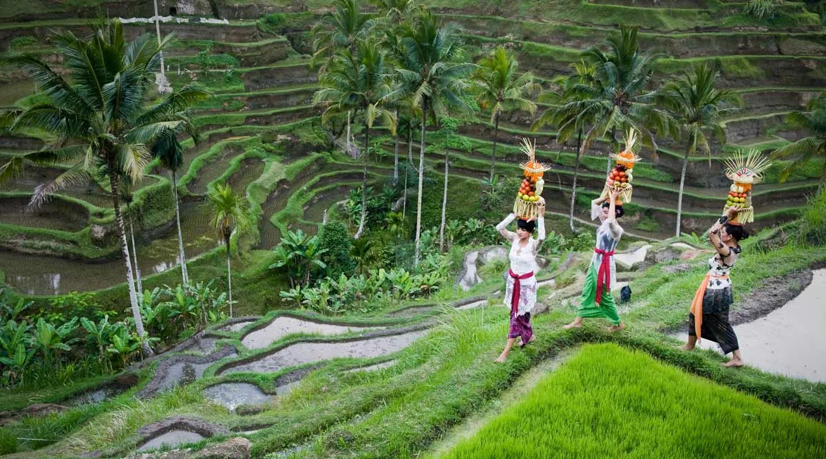 Java