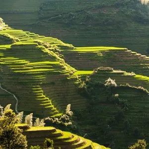 Longsheng Terrace