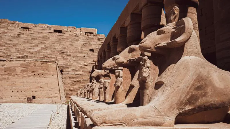 Egypt Discovery in Style