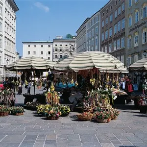 Der Grünmarkt
