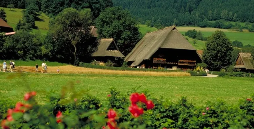 Romantic Germany Private Journey