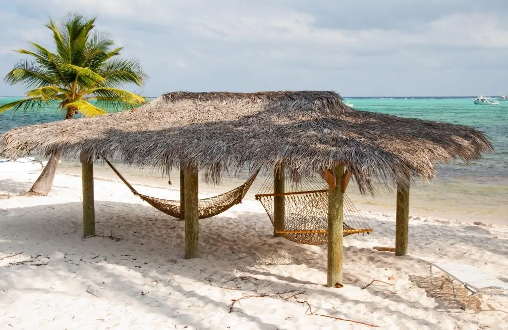 Little Cayman photo 11