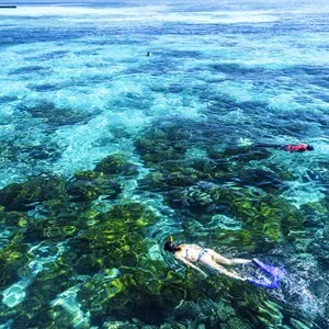 Great Barrier Reef