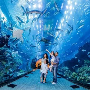 Dubai Aquarium & Underwater Zoo