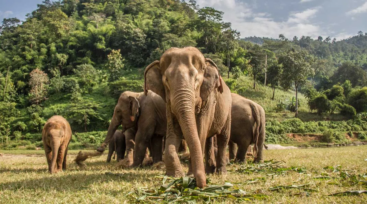 Kanchanaburi and The River Kwai