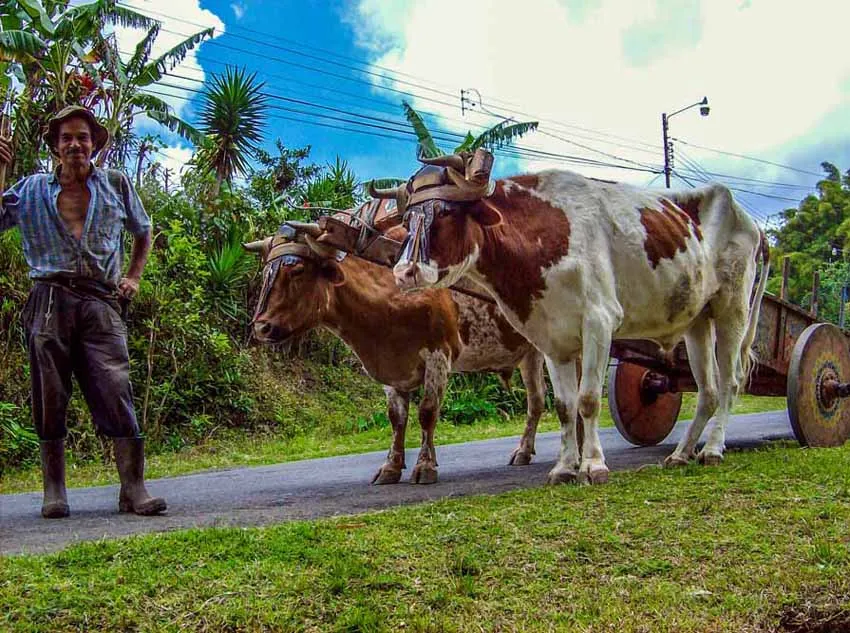 Costa Rica Coast to Cloud Forest Adventure