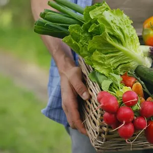 Farmers' Market