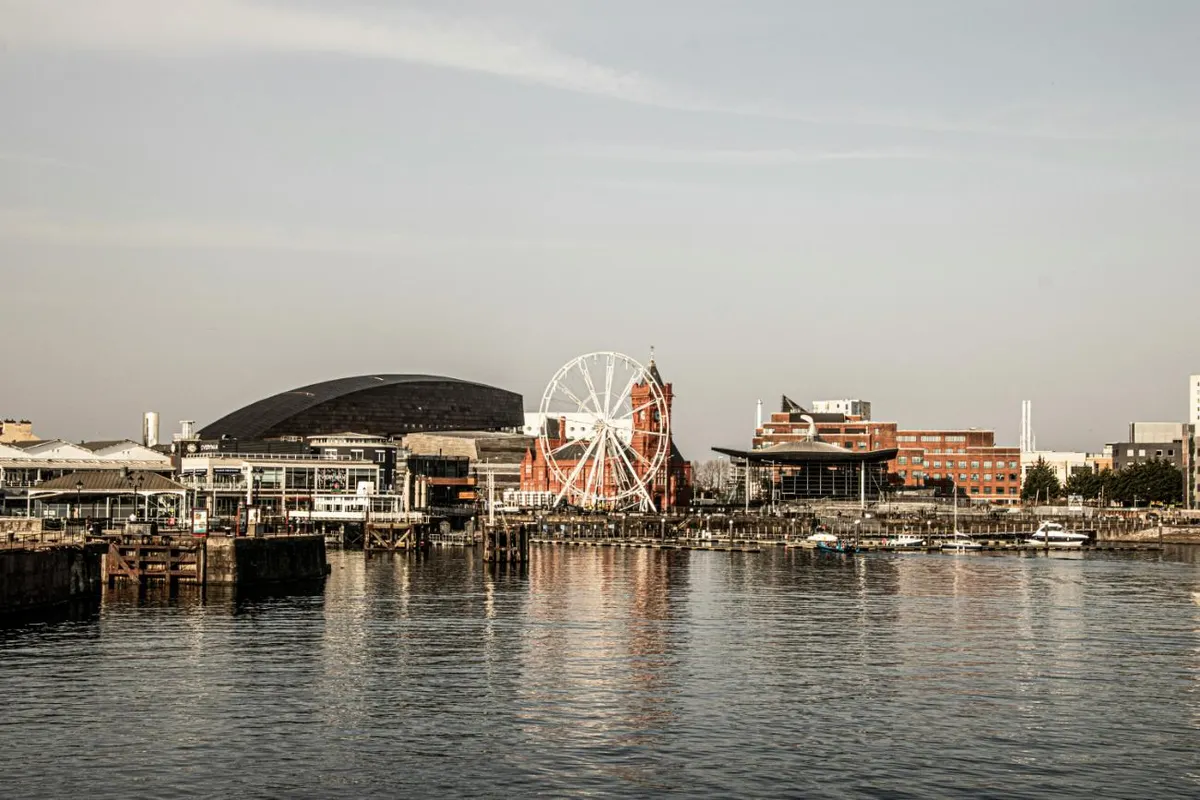 Cardiff Discovery
