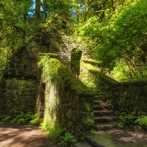 Forest Park