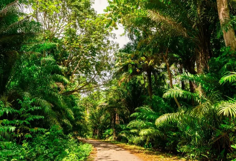 Trinidad and Tobago