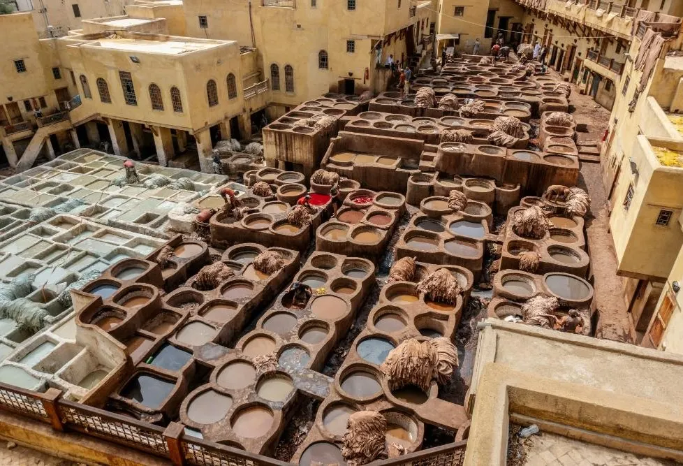 Fez