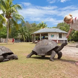 Curieuse Island Tortoise Farm