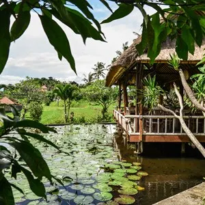 Manda de Laos