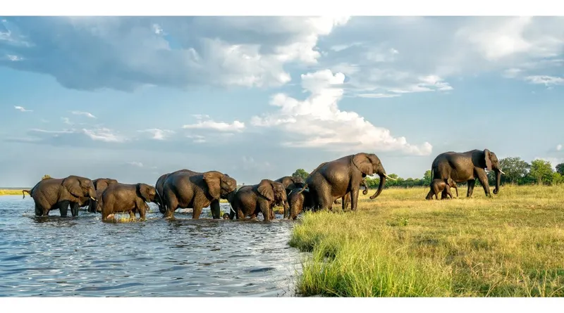 Chobe National Park