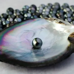Black Pearl Jewellery (Praslin Island)