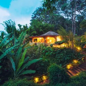 Tropical Cabin Retreat in the Jungle at Sunset