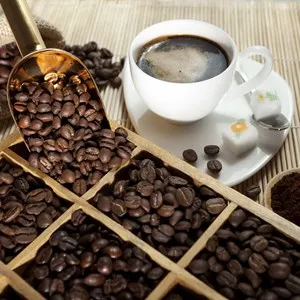 Lan Shan Café / 蓝山咖啡馆