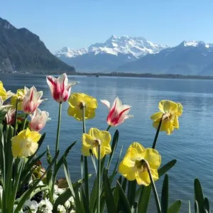 Lake Geneva