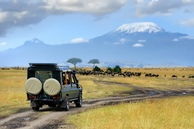 Kilimanjaro National Park